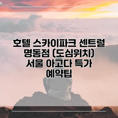 호텔 스카이파크 센트럴 명동점 (도심위치) 서울 아고다 특가 예약팁