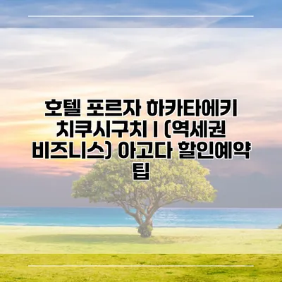 호텔 포르자 하카타에키 치쿠시구치 I (역세권 비즈니스) 아고다 할인예약 팁
