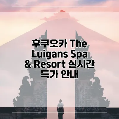 후쿠오카 The Luigans Spa & Resort 실시간 특가 안내