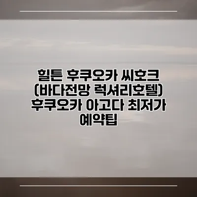 힐튼 후쿠오카 씨호크 (바다전망 럭셔리호텔) 후쿠오카 아고다 최저가 예약팁